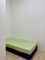 Evergreen Park (D19), Apartment #614143891